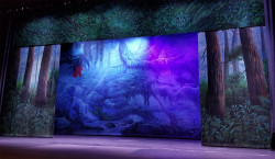 Tropical Forest Daybreak Header