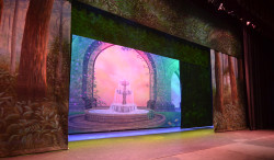 Tropical Forest Daybreak Header