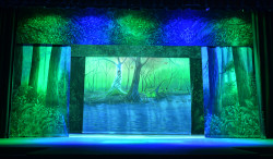 Tropical Forest Daybreak Header