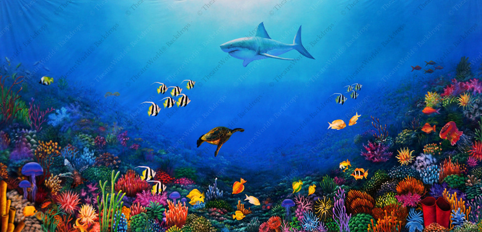 Coral Kingdom